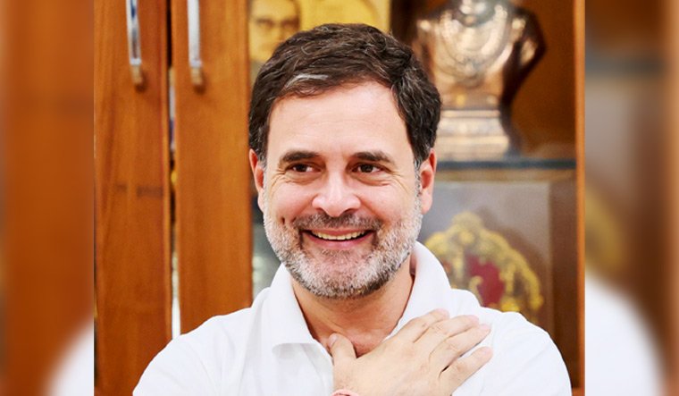  ബിജെപിക്കും ആംആദ്മി പാർട്ടിക്കും എതിരെ ഗുരുതര ആരോപണമുയർത്തി ഡൽഹി നിയമസഭ തിരഞ്ഞെടുപ്പ് പ്രചാരണത്തിൽ രാഹുൽ ഗാന്ധി
